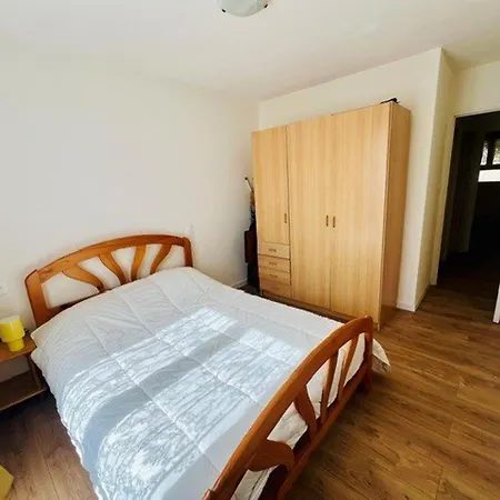 Avec Garage, Animaux Admis - 4 Pers. - Fr-1-703-231 شقة Amélie-les-Bains-Palalda